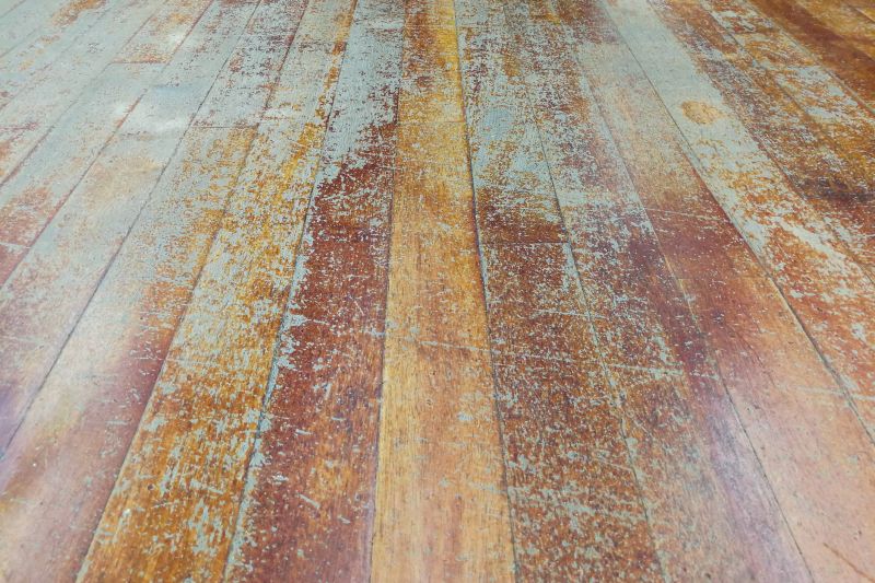 House Wood Floor Repair
