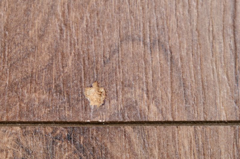 House Wood Floor Repair