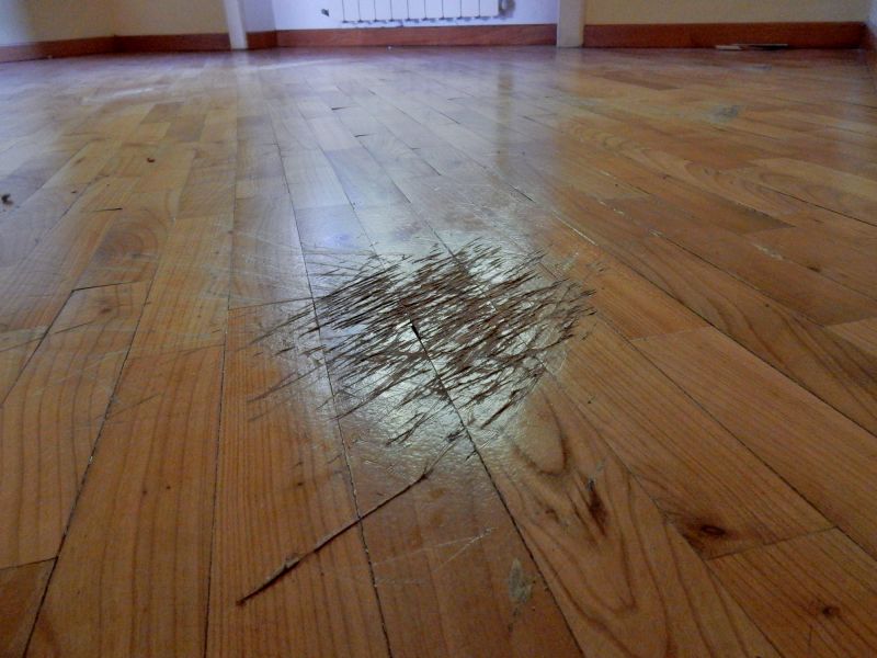 House Wood Floor Repair